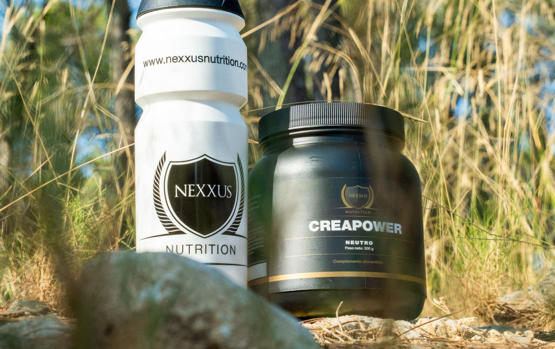 Creatina, colágeno y antioxidantes: la combinación de 2026 para rendimiento y salud articular | Nexxus Nutrition